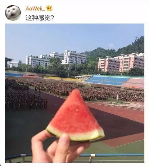 学姐吃瓜娱乐,揭秘校园八卦背后的故事